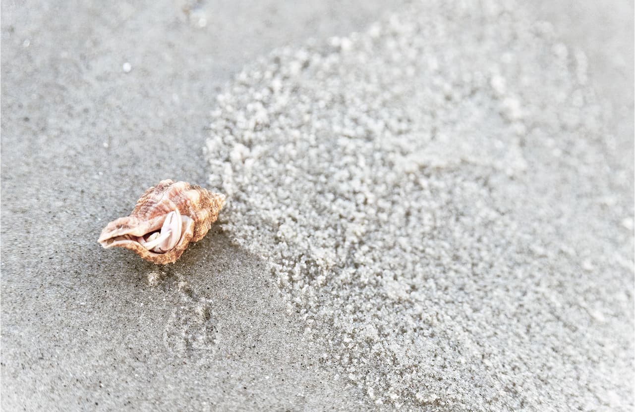 Pebbles on sand as a symbol of compassion focused therapy